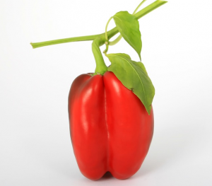 začinjena hrana za hujšanje