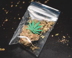 lahko doma izdelamo CBD olje lahko doma izdelamo CBD olje